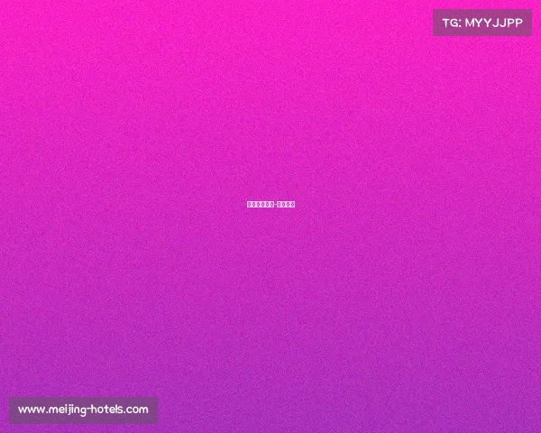 天津赛事执行-天津赛制